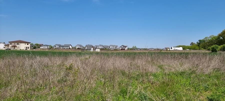 Crevedia terenuri parcelate Samurcasi - 6