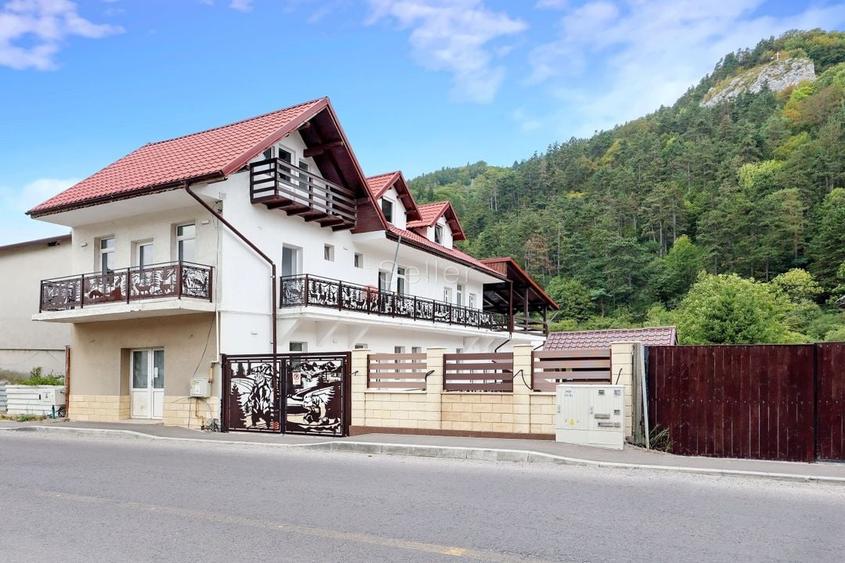 Proximitate imediata fata de Castelul Bran - 8