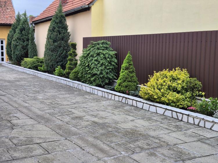 Casa Rasinari teren 990 m - 8