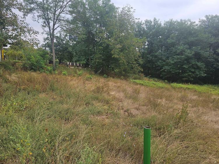 Vand 2756 mp teren in Luncani - 7