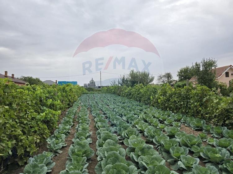 Casa / Vila cu 5 camere de vanzare - 12