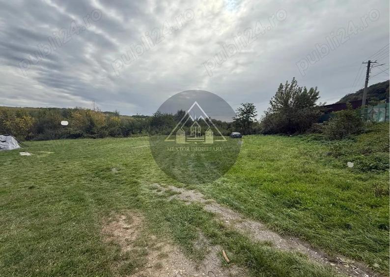 Teren Copsa Mica - 1