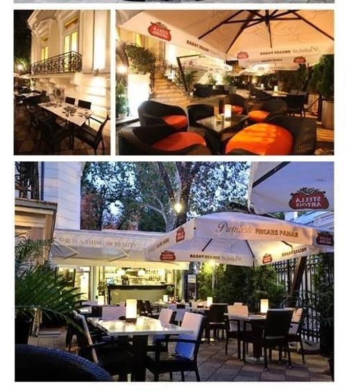 Vila somptuoasa - de inchiriat - Piata Romana - 3