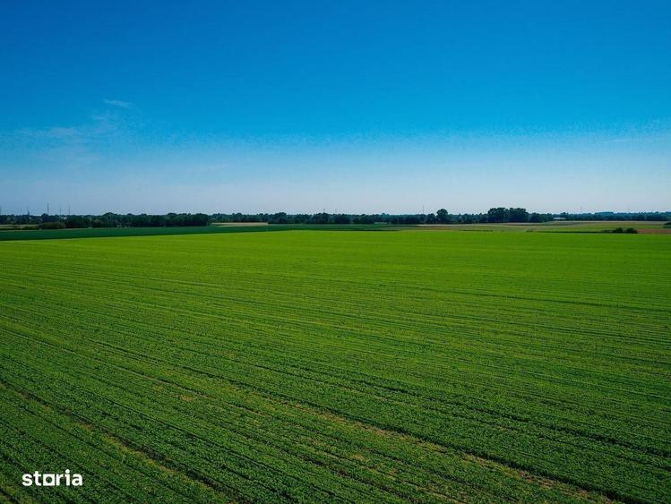 Vanzare Teren Extravilan Arabil, Pasune Chesint, Zabrani Arad, 48.86ha - 1