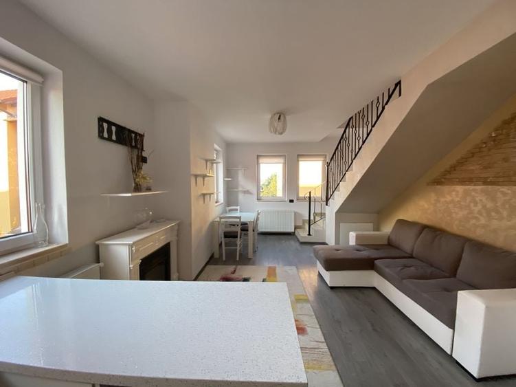 Cochet la intrare in Dumbravita - 2