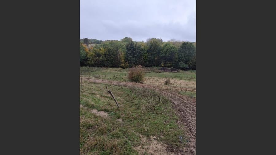 VIla de vanzare Teisani Stubeiu 11250 mp - 5