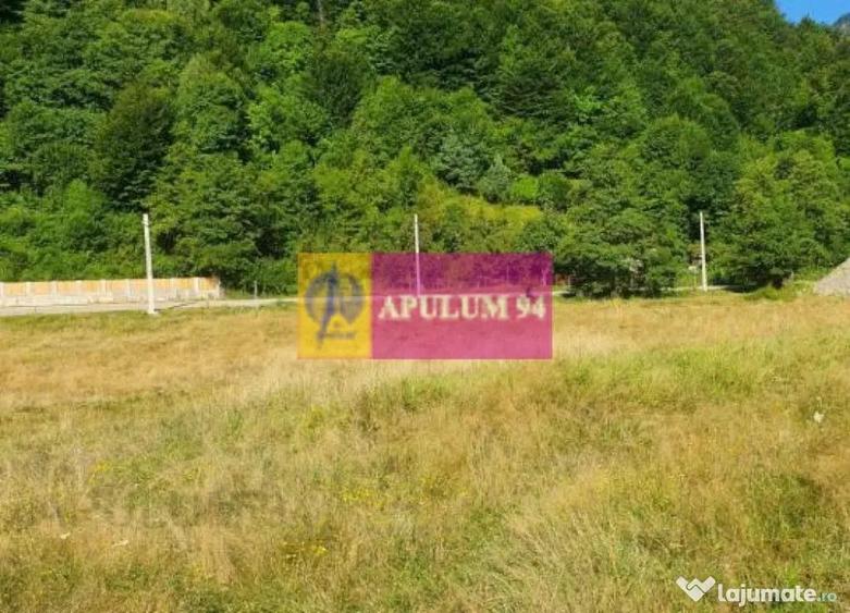 Teren Jude?ul Valcea - Brezoi, Valea lui Stan - 9