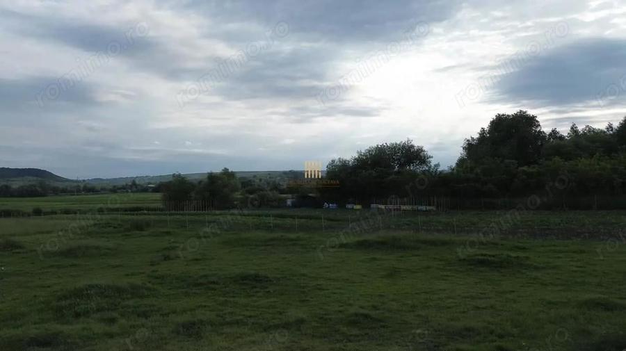 Teren 3953 mp Falticeni Tarna Mare De Vanzare 0727817187 - 1