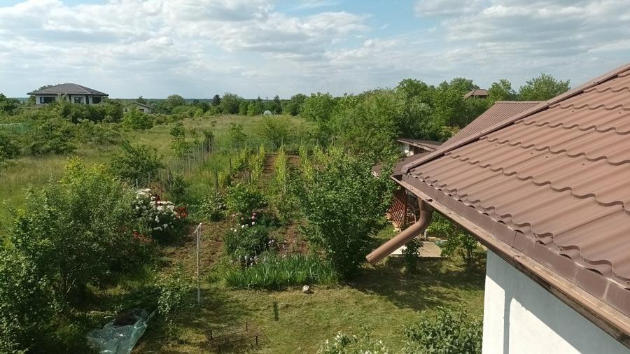 Moara Vlasiei , Casa cu teren 4250 m2 - 7