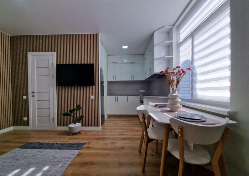 Garsoniera de inchiriat in zona Victoriei - 4