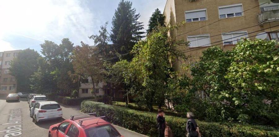 Cota de 4/8 din apartament 3 camere loc. Orastie, Jud Hun... - 4