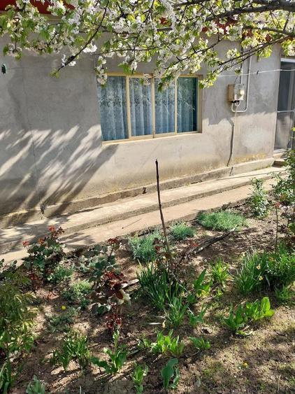 Vand casa ( teren 2.000 mp) in sat Pietrele, jud. Giurgiu - 3