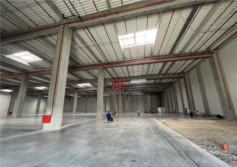 Depozit/hala/spatiu industrial Cernica - A2- A0 -Manolache - 2