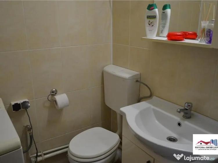 Apartament 1 Camera Mobilat si Utilat de Zona Dambu Pietros - 8
