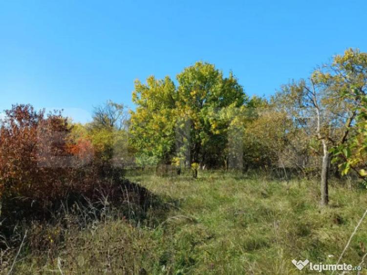 Teren intravilan 2877 mp, in Copaceni - 2