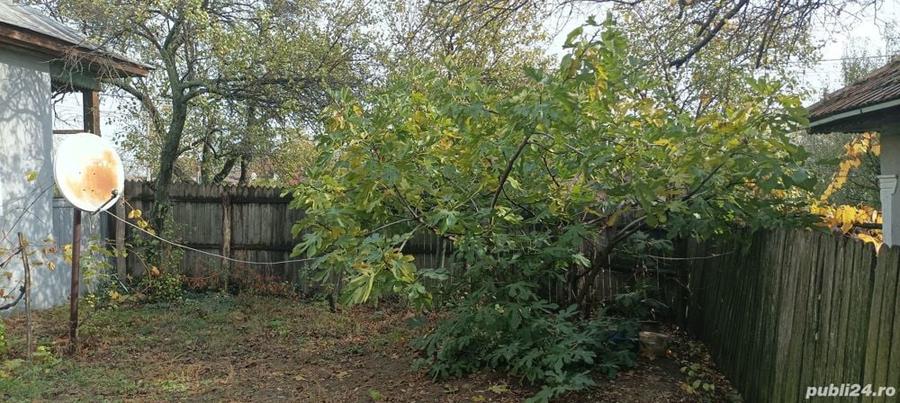 vand casa cu curte si teren in Padina Mica, Mehedinti - 1