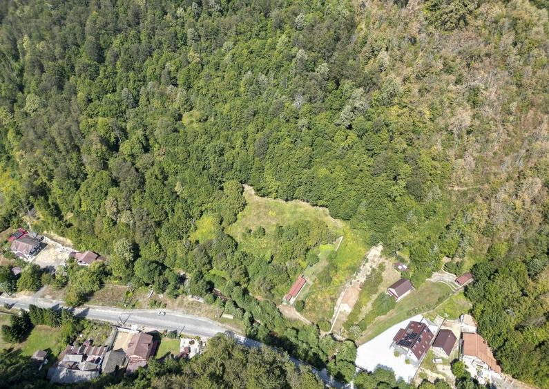 Teren intravilan de 1500 mp pe deal in Moneasa - 1