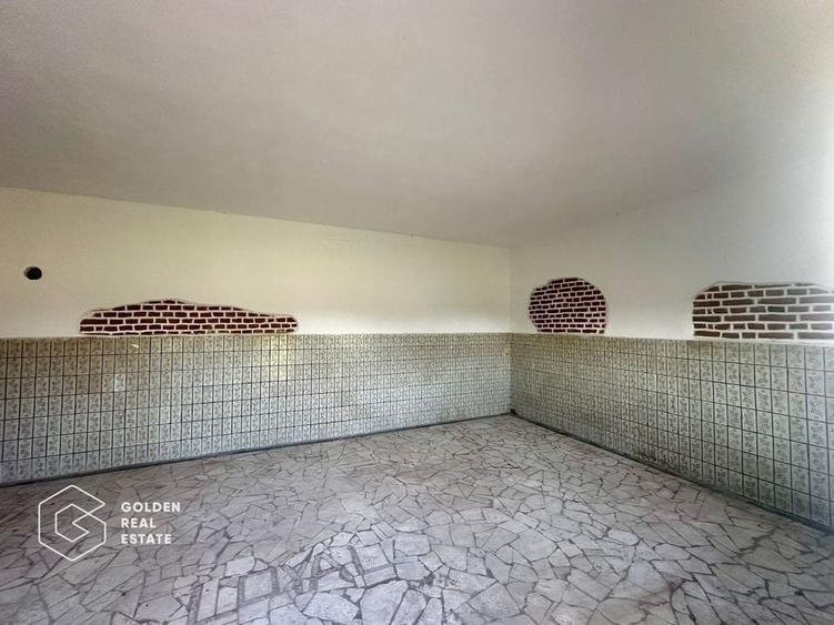 Teren intravilan 71.000mp, Barsa, Renumita Fabrica de caramida si casa 4 camere - 9