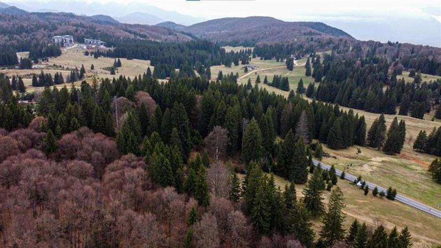 Teren cu potential:1.000 mp,proiect turistic/rezidential,Poiana Brasov - 7