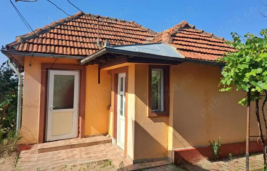 Vand locuinta Plescoi, Buzau - 8