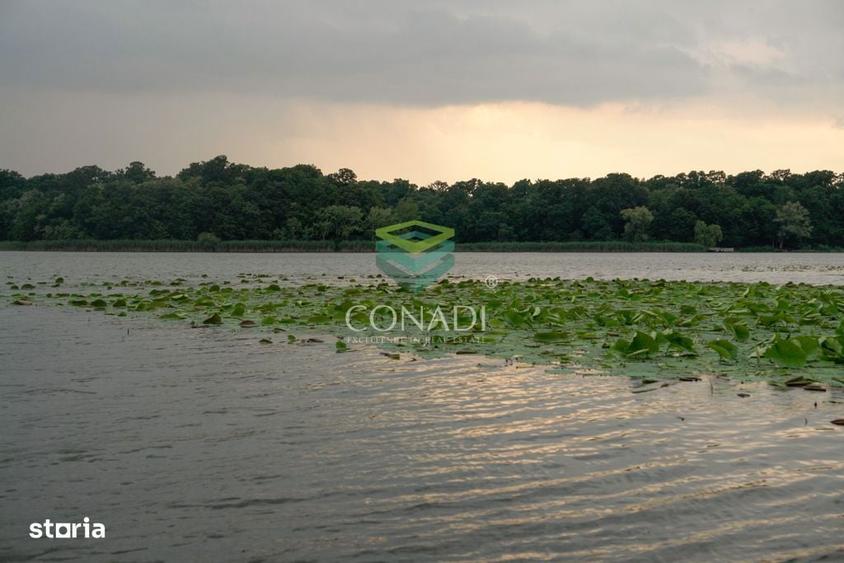 Oportunitate-Teren Snagov cu Deschidere Directa Lac si Padure 12.135mp - 1