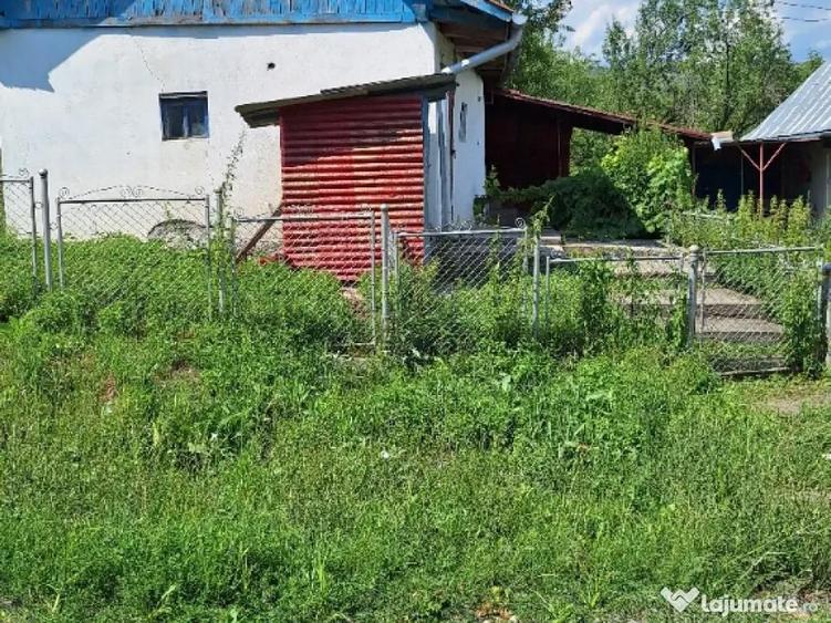 De vanzare casa teren 6000mp sat Tioltiur com. Cornesti jud. Cluj - 9