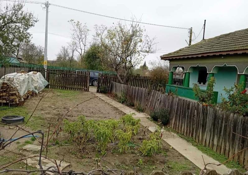 Casa traditionala si teren generos Facaeni, Ialomita - 8