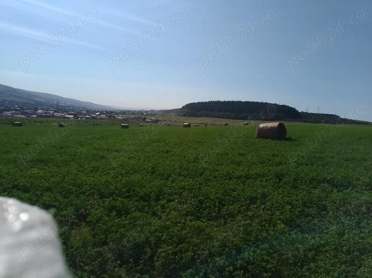 Chinteni 40 euro mp - 2