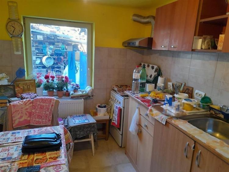 Casa Individuala Mehala - 12