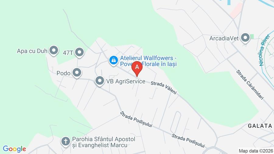 Teren Galata  str  Valeni Iasi - 1