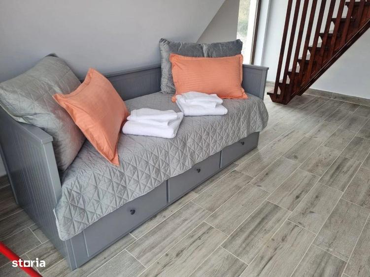 Complex turistic si ferma piscicola ~ Caiuti ~ Bacau - 7