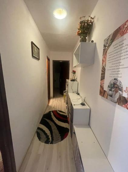 Apartament cu 3 camere semidecomandat, mobilat în Valea Rosie