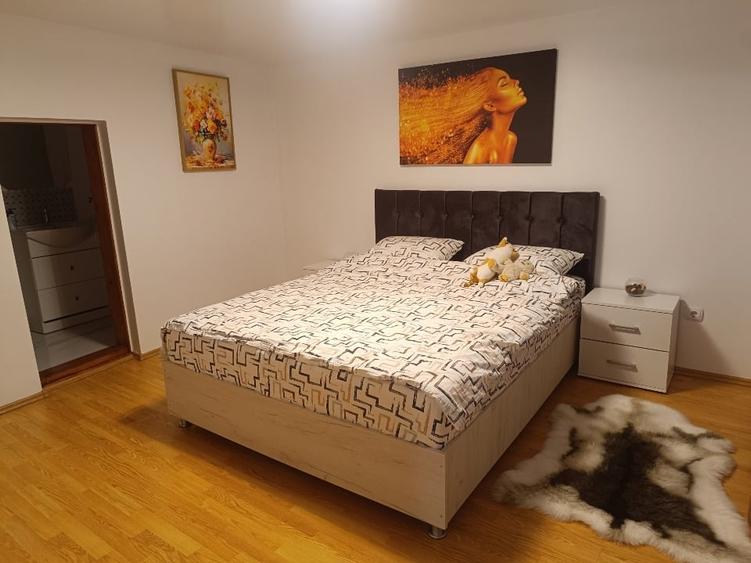 Casă individuală cu 5 camere cu Teren 1500 Mp în Văleni (Meteș)