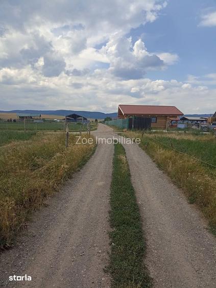 De vanzare teren extravilane in Sfantu Gheorghe