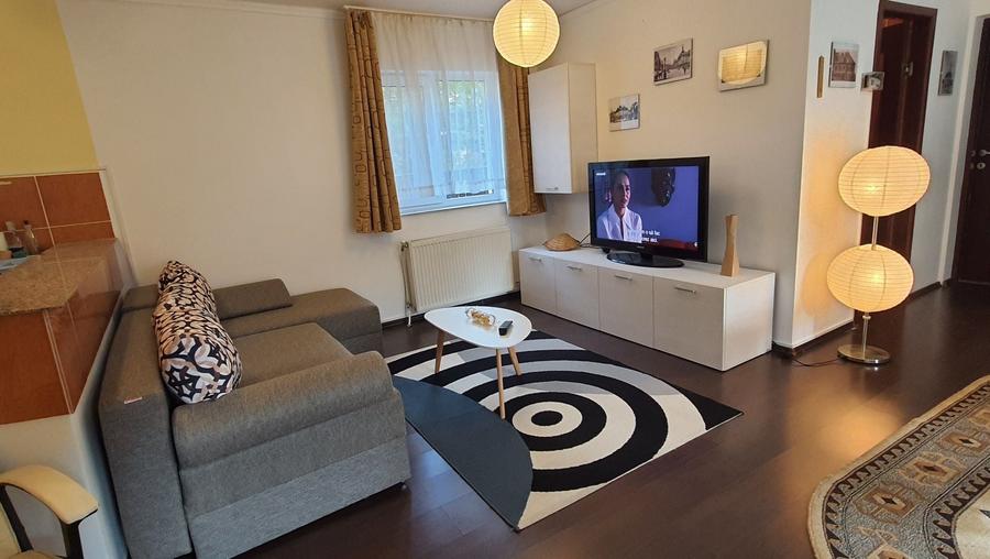 Apartament cu 2 camere semidecomandat în Dosu Bricii
