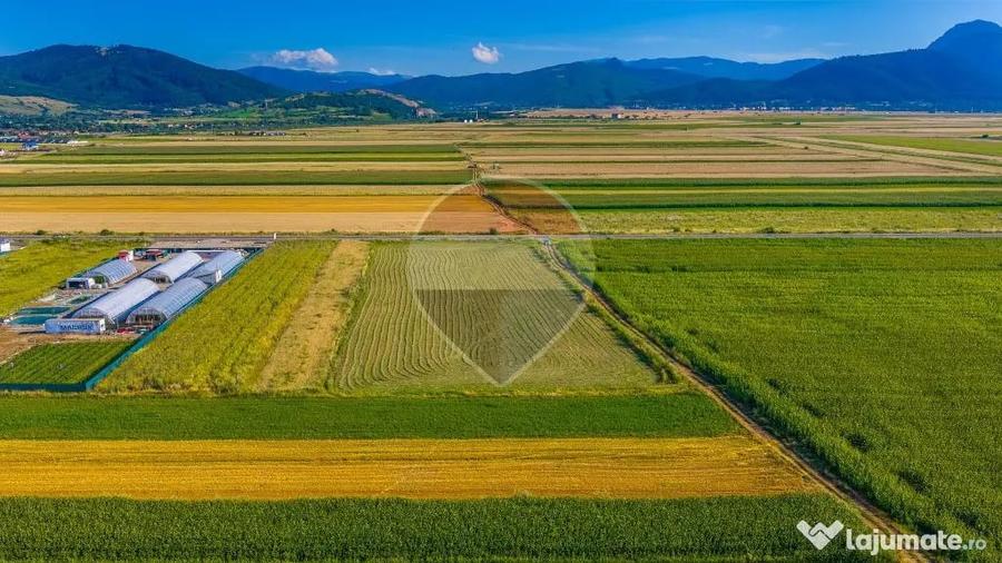 COMISION 0% | Teren intravilan 7.500 mp | Tarlungeni, Brasov - Tarlungeni (Brasov) - 5