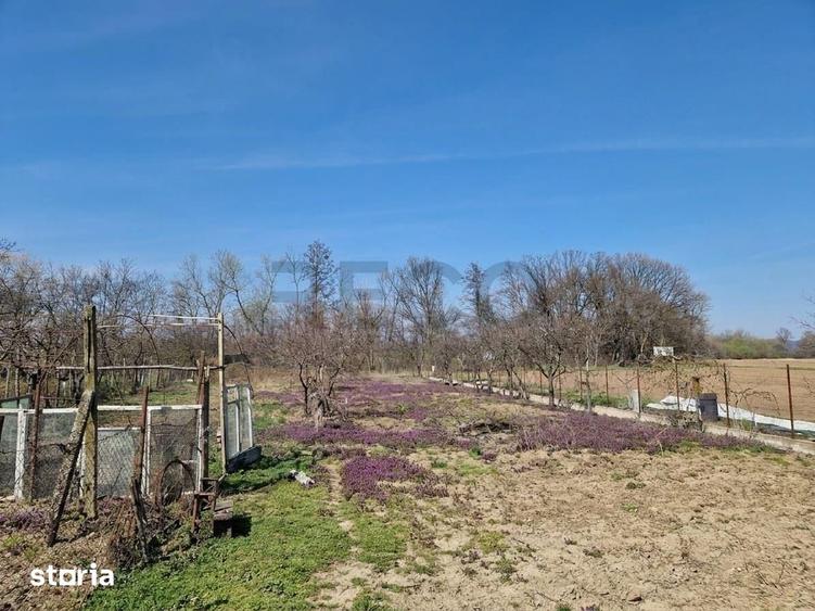 Casă cu 3 camere cu Teren 2230 Mp în Saca