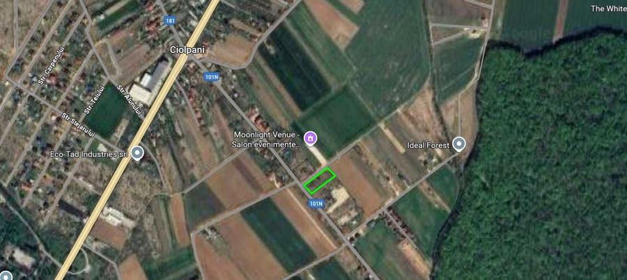 Teren 5 lot x 500 mp Ciolpani Izvorani-Intravilan construibil -- - 6