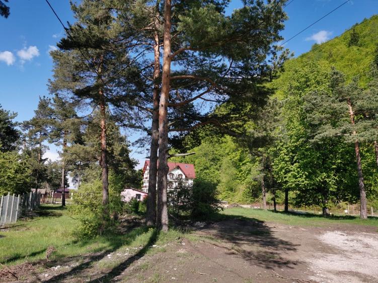 Teren rezidential Bunloc zona de case - 8