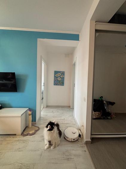 Studio Complex Evocasa Optima 10 min Metrou 1 Decembrie - 3