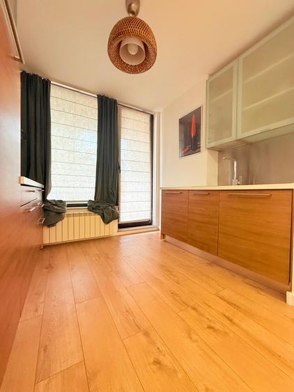 Studio spatios North Area Lake View -Herastrau - 12