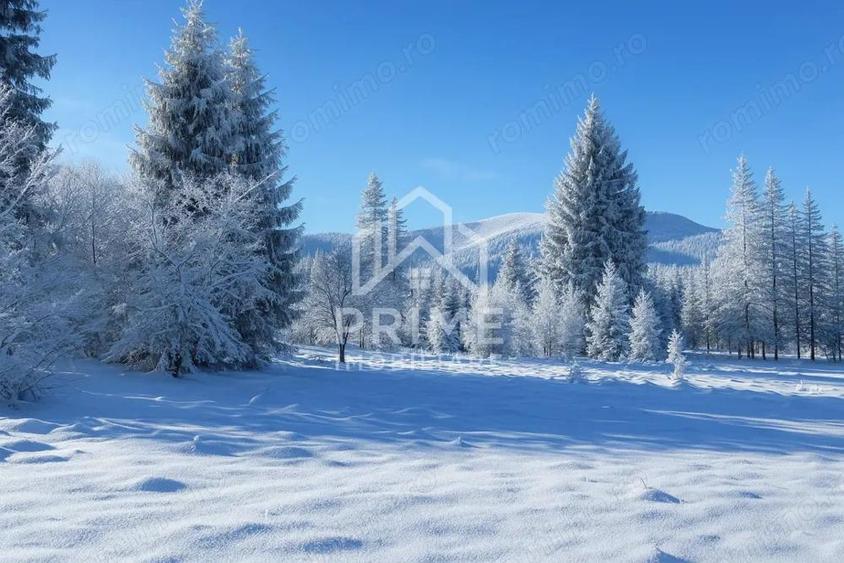 Parcele 500 MP cu CF-uri proprii in intravilanul Galbena, AB - Arieseni - 3