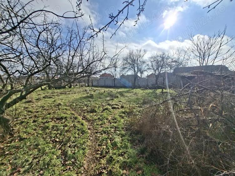 Casa Obarsia de Camp Mehedin?i - 3