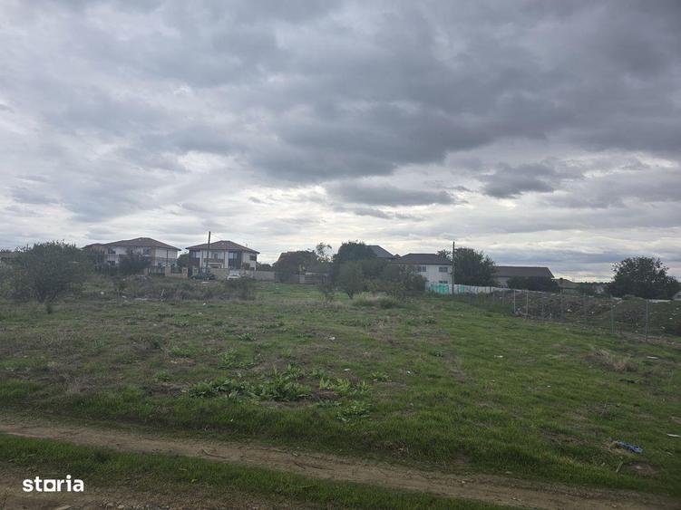 Teren de vanzare in Palazu Mare - 9