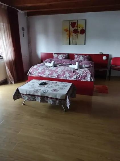 Resedinta cu 8 camere in Orasul Breaza - 8