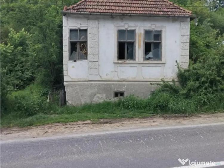 Domeniu verde autentic, 5.000mp, front la DJ, Valcele, Bra - 5