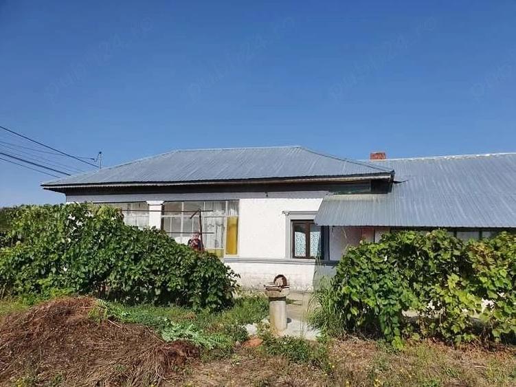 Casa de vanzare Valea Popii Radovanu - 3