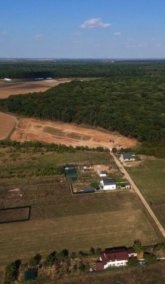 LOT DE VANZARE cu deschidere la padurea Snagov - 6