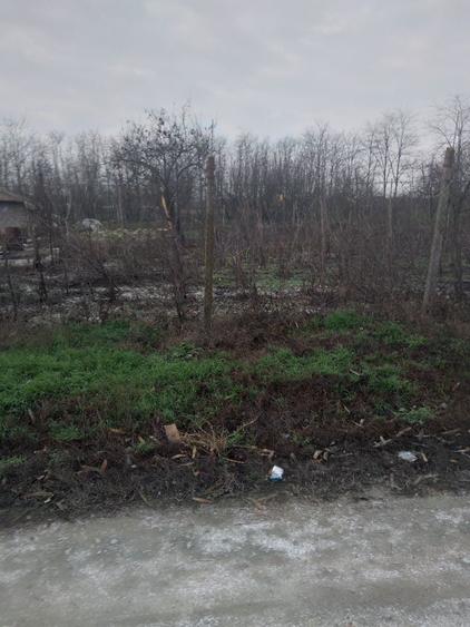 Teren sat Rasa;com Gradistea - 3