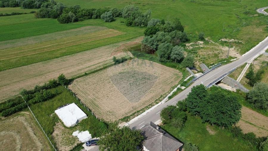 DE VÂNZARE TEREN INTRAVILAN SAU PARCELA – Șomcuta Mare (0% comision) - 2